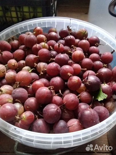 Малина смородина крыжовник клубника яблоки варенье