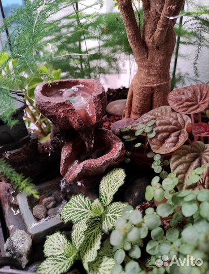 Флорариум с фонтаном