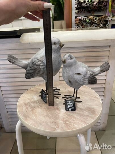 Птицы интерьерные