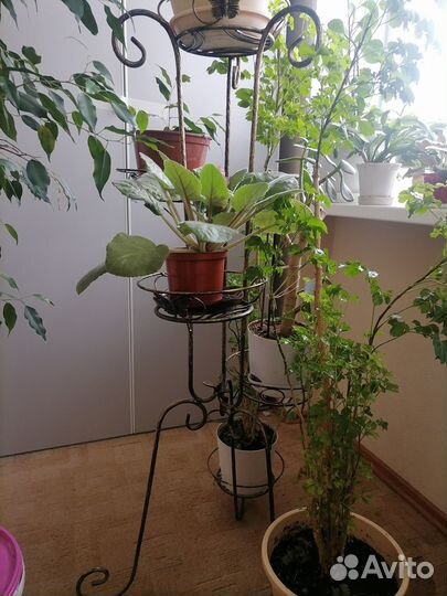 Стойка металлическая для цветов