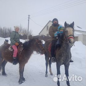 Дизайн гостиной в частном доме: 50 вариантов с фото