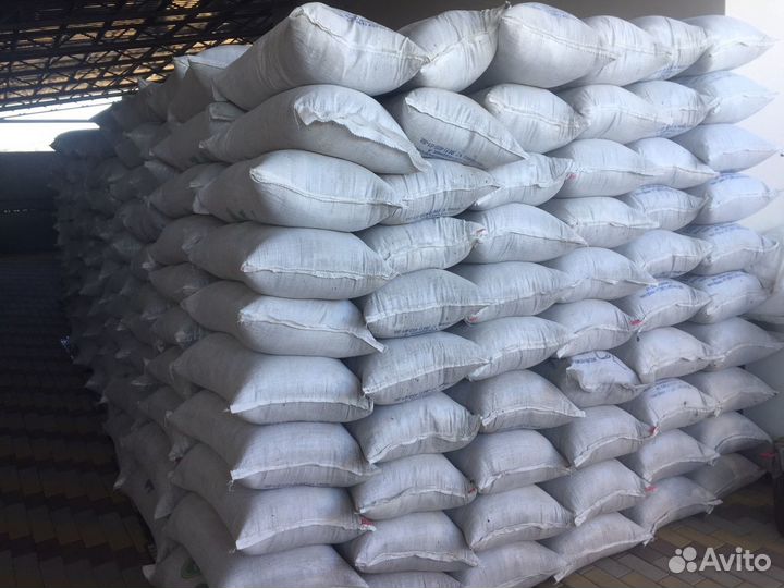 Отход семечки