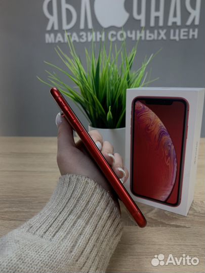 iPhone Xr, 256 ГБ