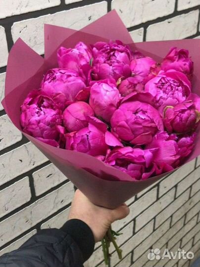 Пионы опт. Москва. Доставка