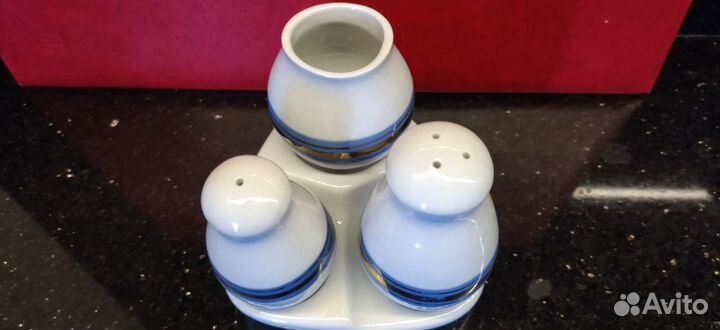 Набор для специй. фарфор зхк полонне СССР 1970-е г