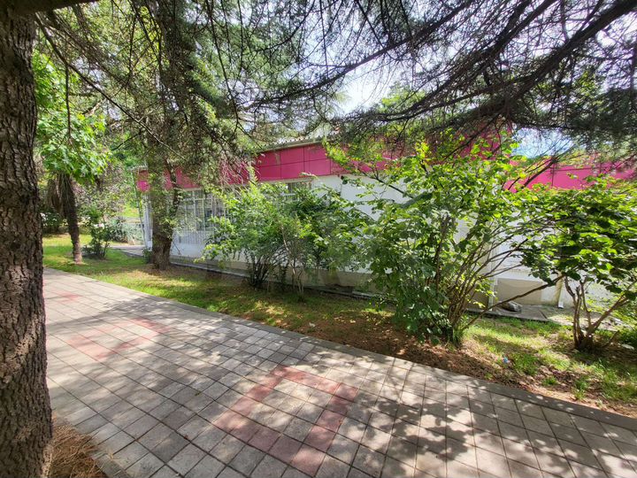 Свободного назначения, 250 м²