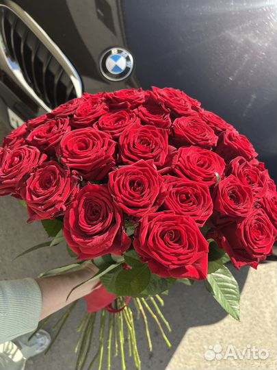 Розы красные доставка цветов 51 роза 100 роз