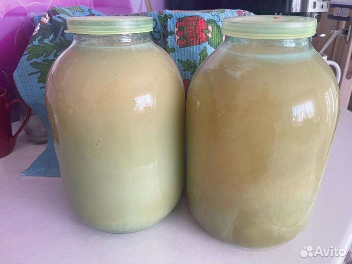 Свежий,натуральный Мёд 2023