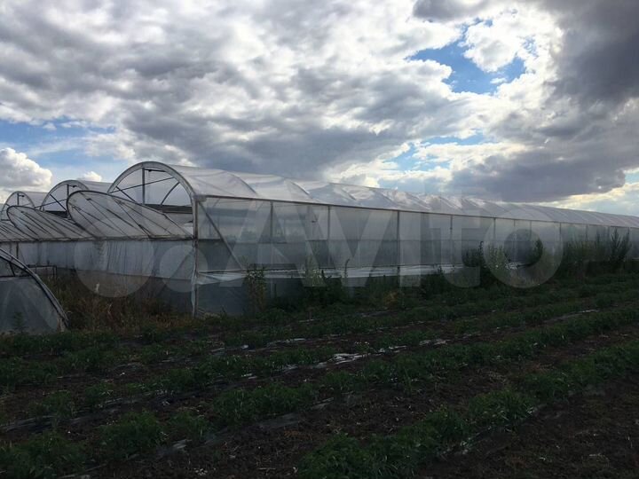 Участок 54,4 сот. (личное подсобное хозяйство (лпх))