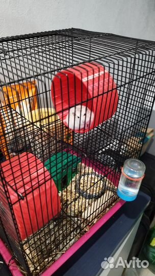 Беговое колесо для грызуна хомяка