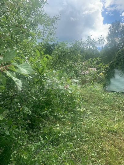 Дача 58,4 м² на участке 8 сот.