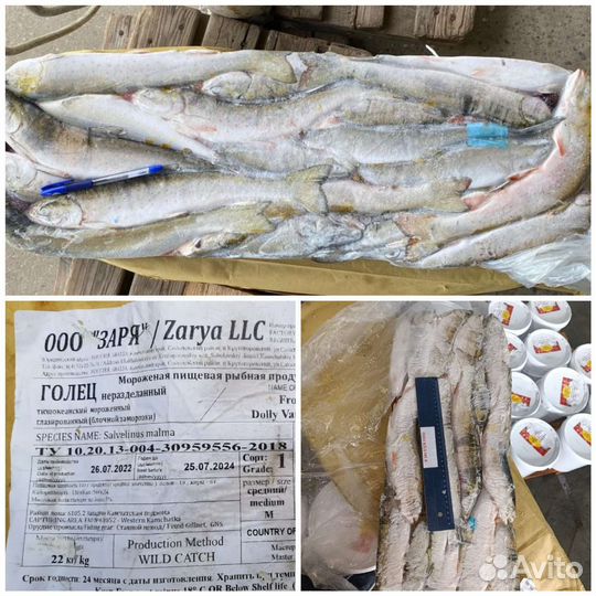 Рыба Голец (с икрой, свежая)
