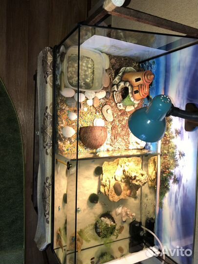 Аквариум террариум