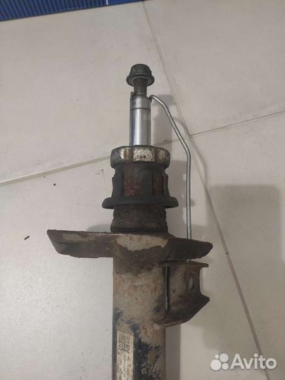 Амортизатор передний на Шкода Октавия А5