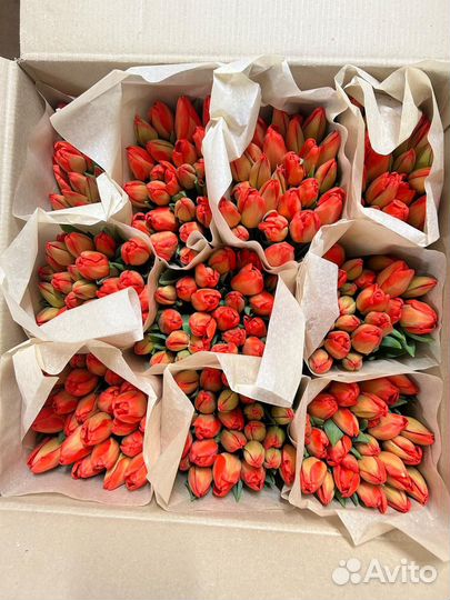 Тюльпаны к 8 марта