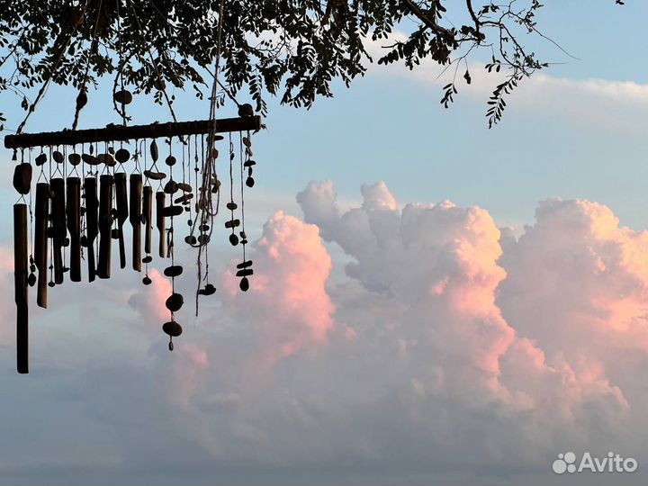 Музыка ветра