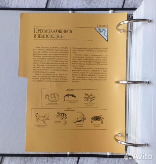 В мире дикой природы (энциклопедия) 2 папки