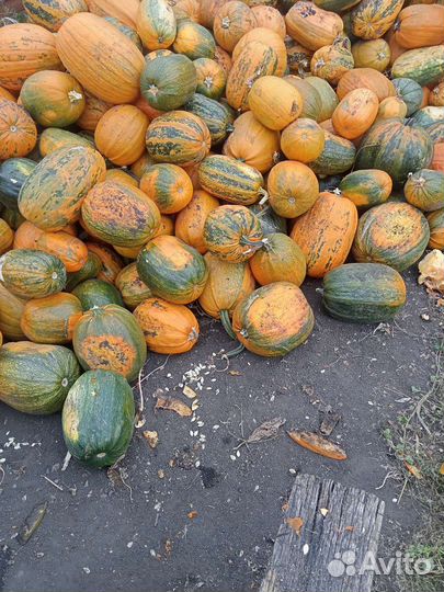 Тыквенные семечки