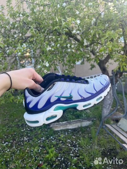 Nike air max tn Grape Ice