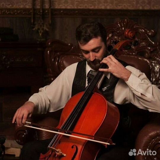 Музыкант на свадьбу/юбилей