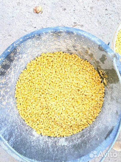 Кукуруза в гранулах откорм