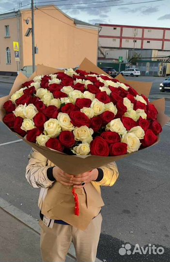 Розы 25/цветы/51 штука/доставка