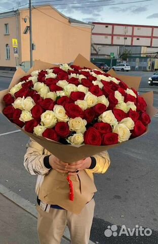 Розы 25/цветы/51 штука/доставка