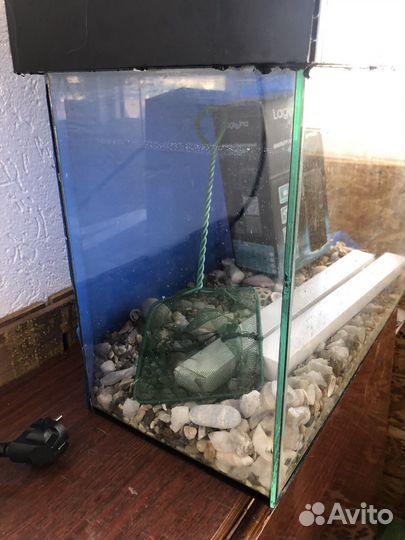 Аквариум с декором