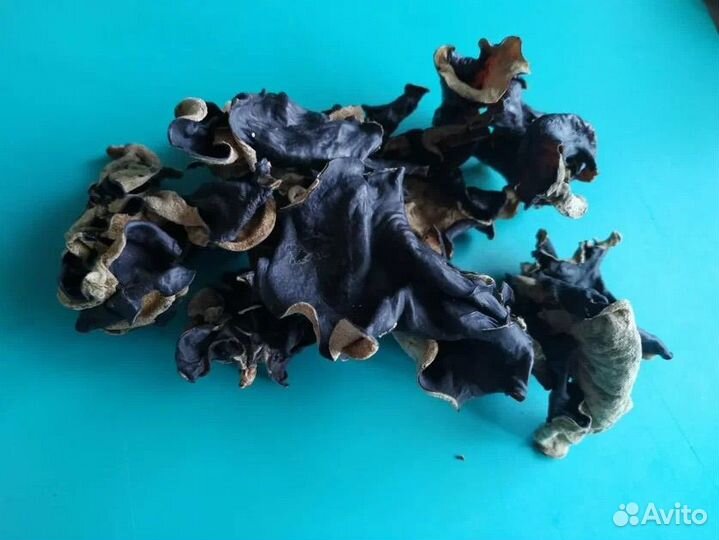 Черный гриб муэр опт