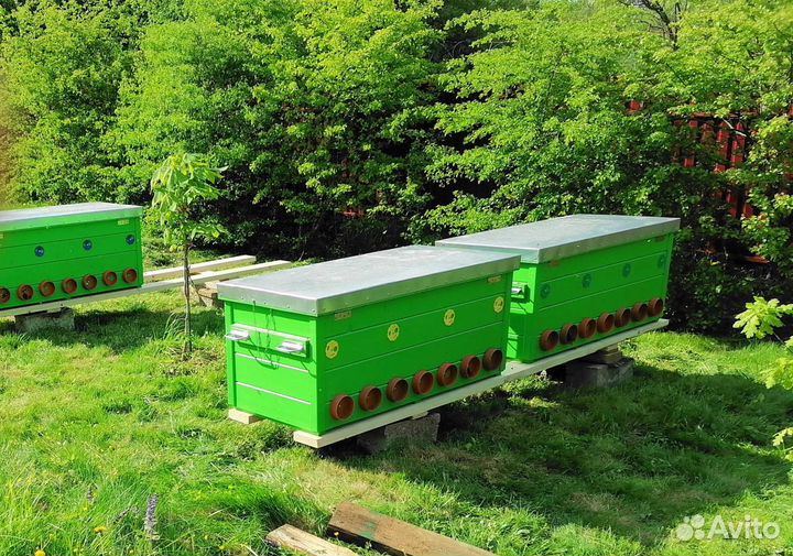 Пасека под ключ на Владимирских ульях-лежаках