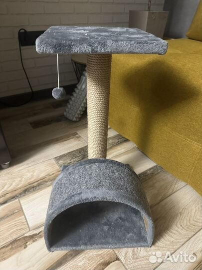 Когтеточка новая