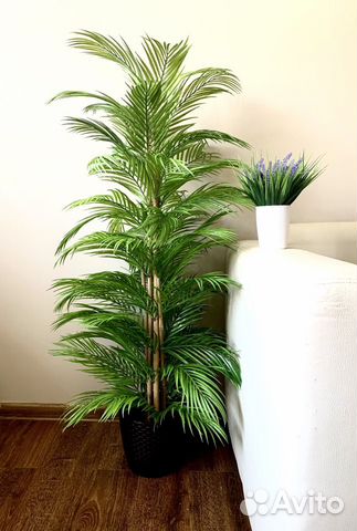 Искусственное дерево пальма,фикус,магнолия