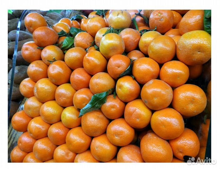 Продавец на ярмарку