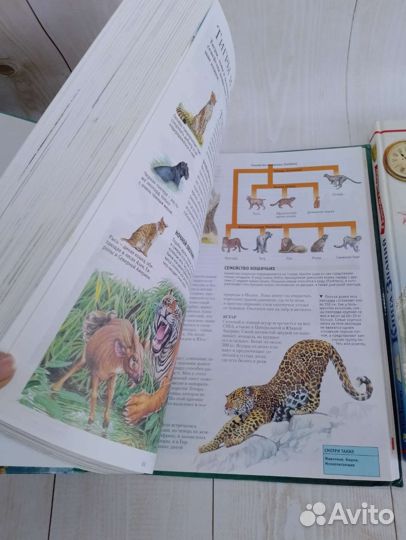 Большая энциклопедия школьника