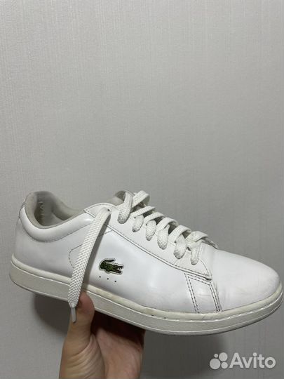 Кеды лакост