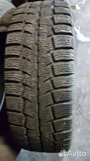 Cordiant Polar SL 185/60 R14