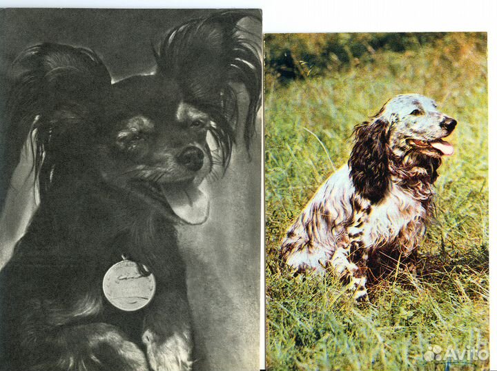 Наборы открыток 1948 - 1970 годов