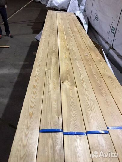 Планкен прямой лиственница