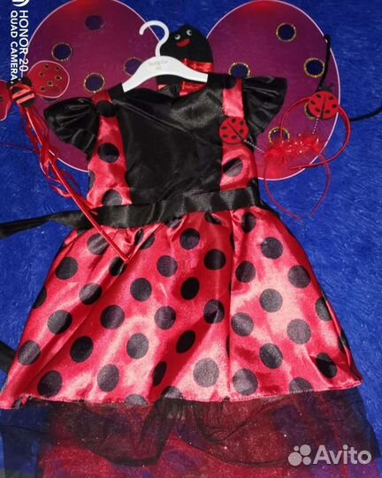 Божья коровка