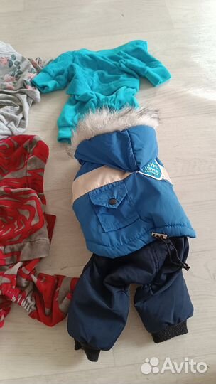 Одежда на маленькую собаку, кофта, комбинезон