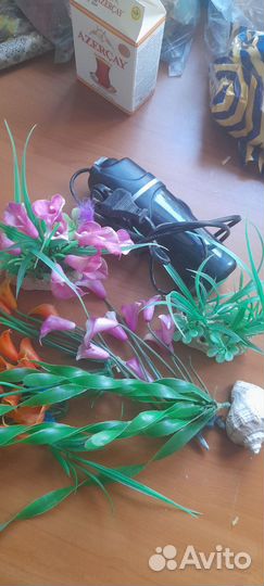 Насос для аквариума и растения