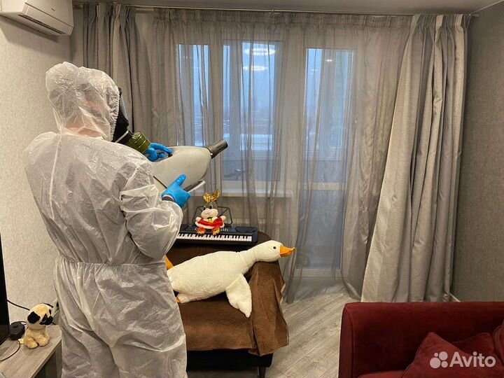 Обработка от клопов и тараканов. Дезинфекция