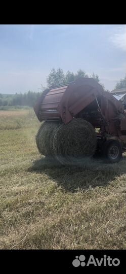 Продам сено в рулонах доставки нет