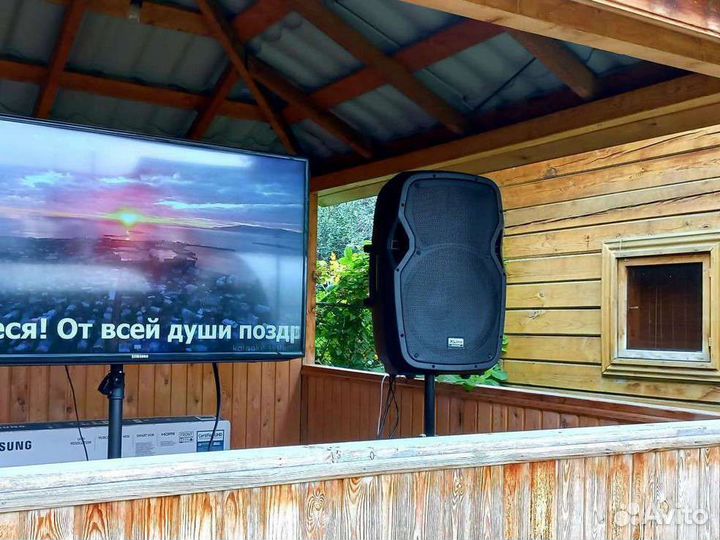 Караоке выездное, аренда, прокат, доставка