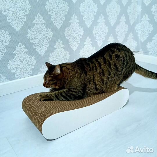 Лежанка для кошек с когтеточкой