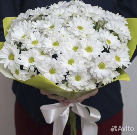 Хризантемы цветы букеты