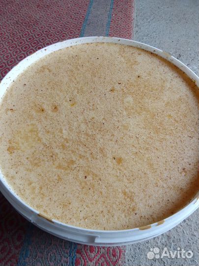 Мед оптом и в розницу