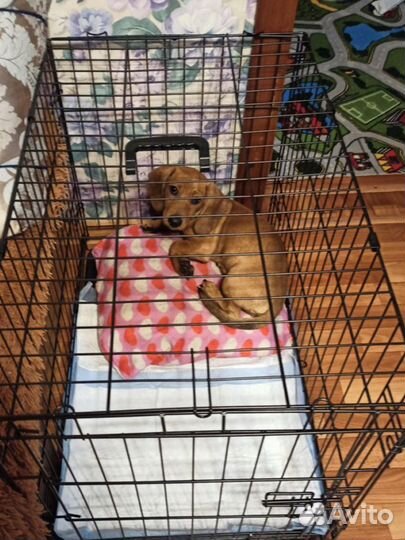 Клетка с 1ой дверцей размером 77см/54см/48см