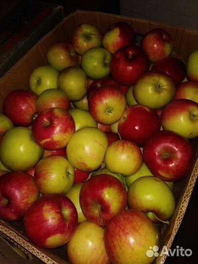 Фермерские продукты