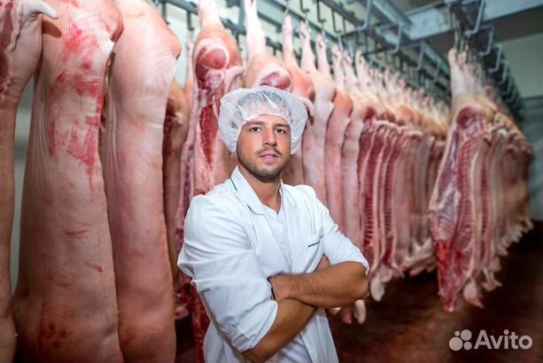 Ищу займ, доход 28 тр/мес. Готовый бизнес